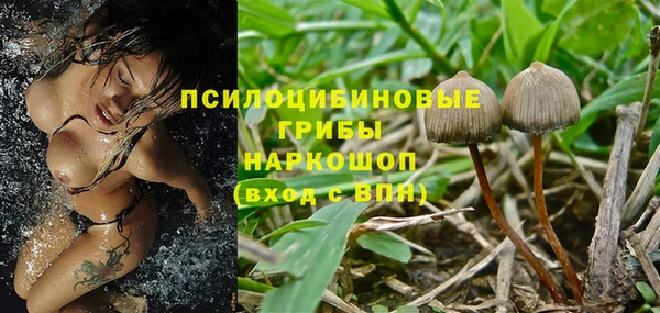 шишки Абдулино
