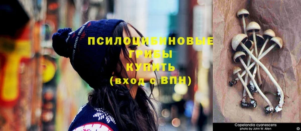 круглые Алзамай