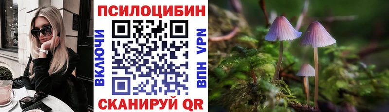 даркнет сайт  Сочи  Галлюциногенные грибы мухоморы 